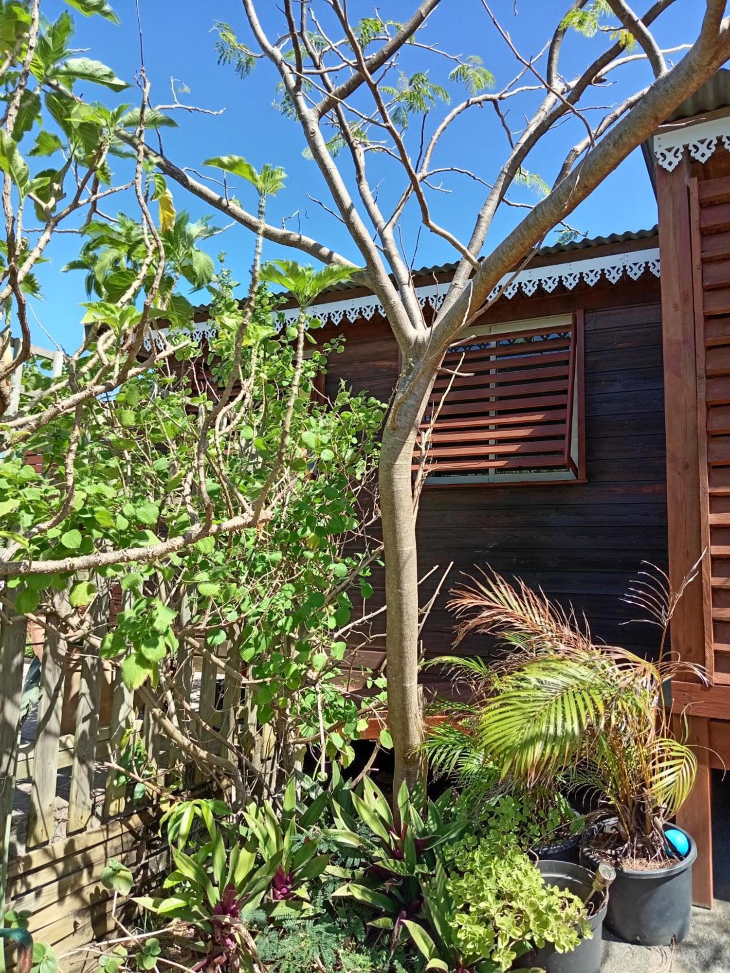 Location Bord Ocean, Holi-Wood Saint-Joseph Exterior foto